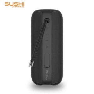 Just Corseca Sushi Grande Wireless Speaker40W Bluetooth Wireless Speakers, Powerful Louder Sound,10H Playtime,4500mAh Battery Capacity for Party/Travel, Black (JST600)